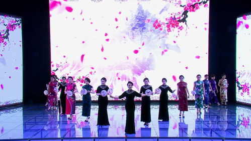 奇臺縣便民便企服務中心舉辦窗口服務禮儀展示活動，提升服務品質